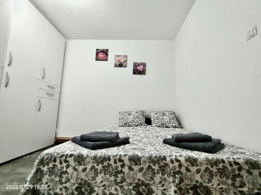 Lavanda Studio Braşov Exterior foto